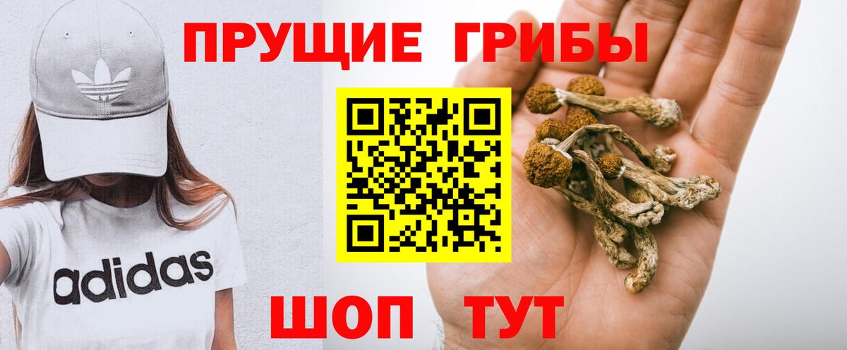Галлюциногенные грибы прущие грибы Магнитогорск